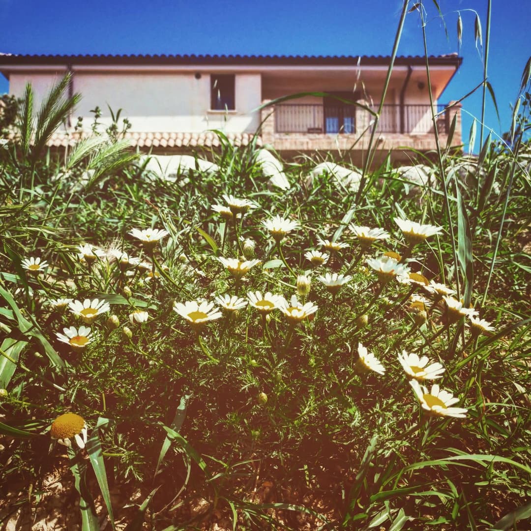 Casale del Sole — photo 1 of 1