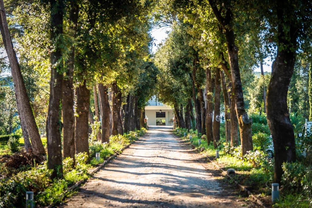 Villa Ortensia D'Avalos — photo 1 of 1