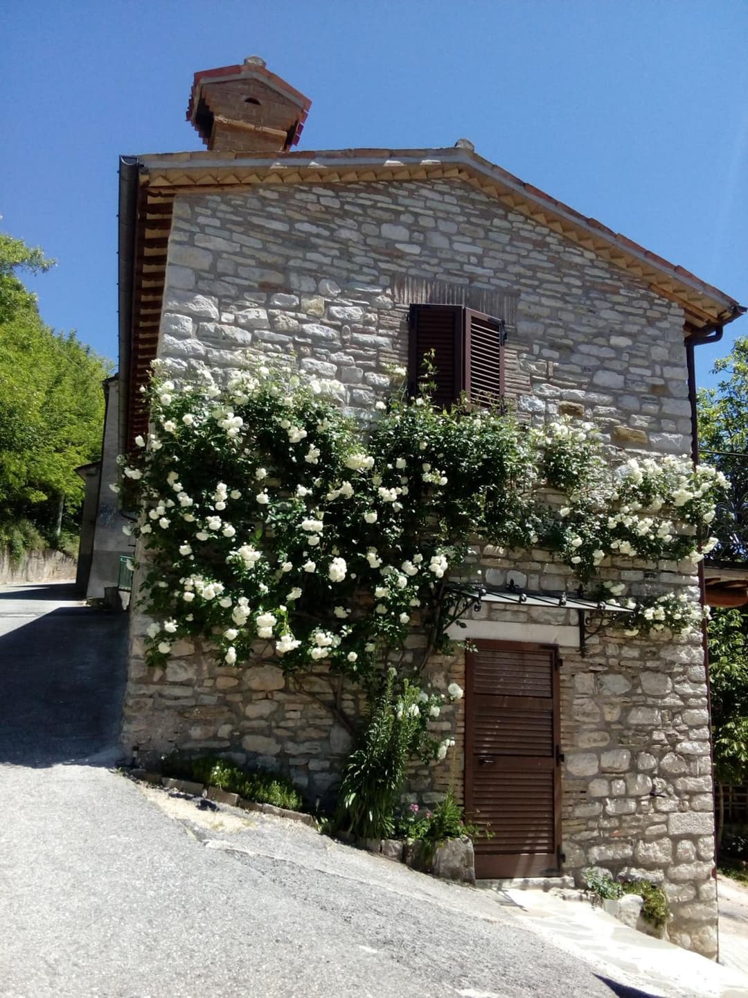 Bed & Breakfast SENTIERO 54 — photo 1 of 1