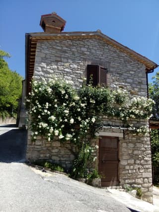 Bed & Breakfast SENTIERO 54