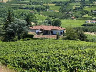 MAMOTA B&B