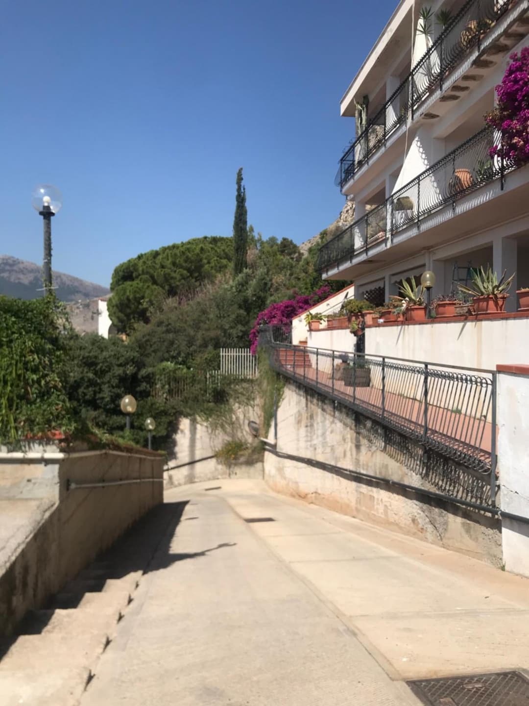 il sogno di Saffo — photo 1 of 1