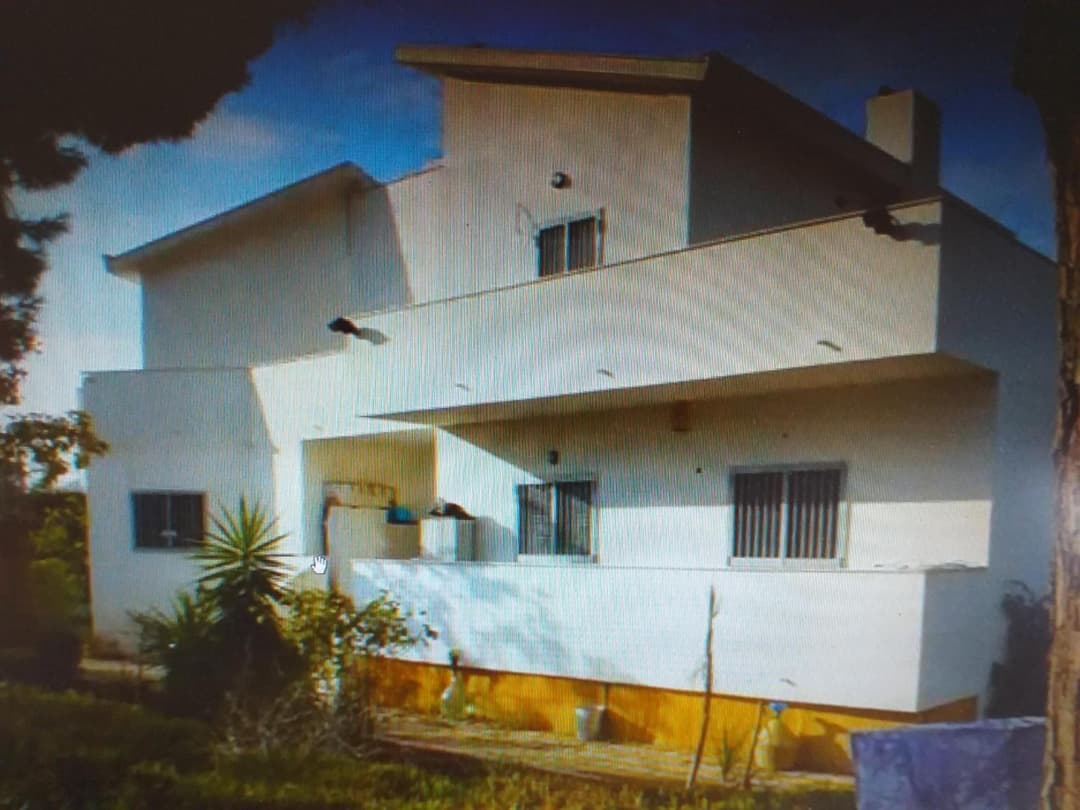 Villa Alma — photo 1 of 53