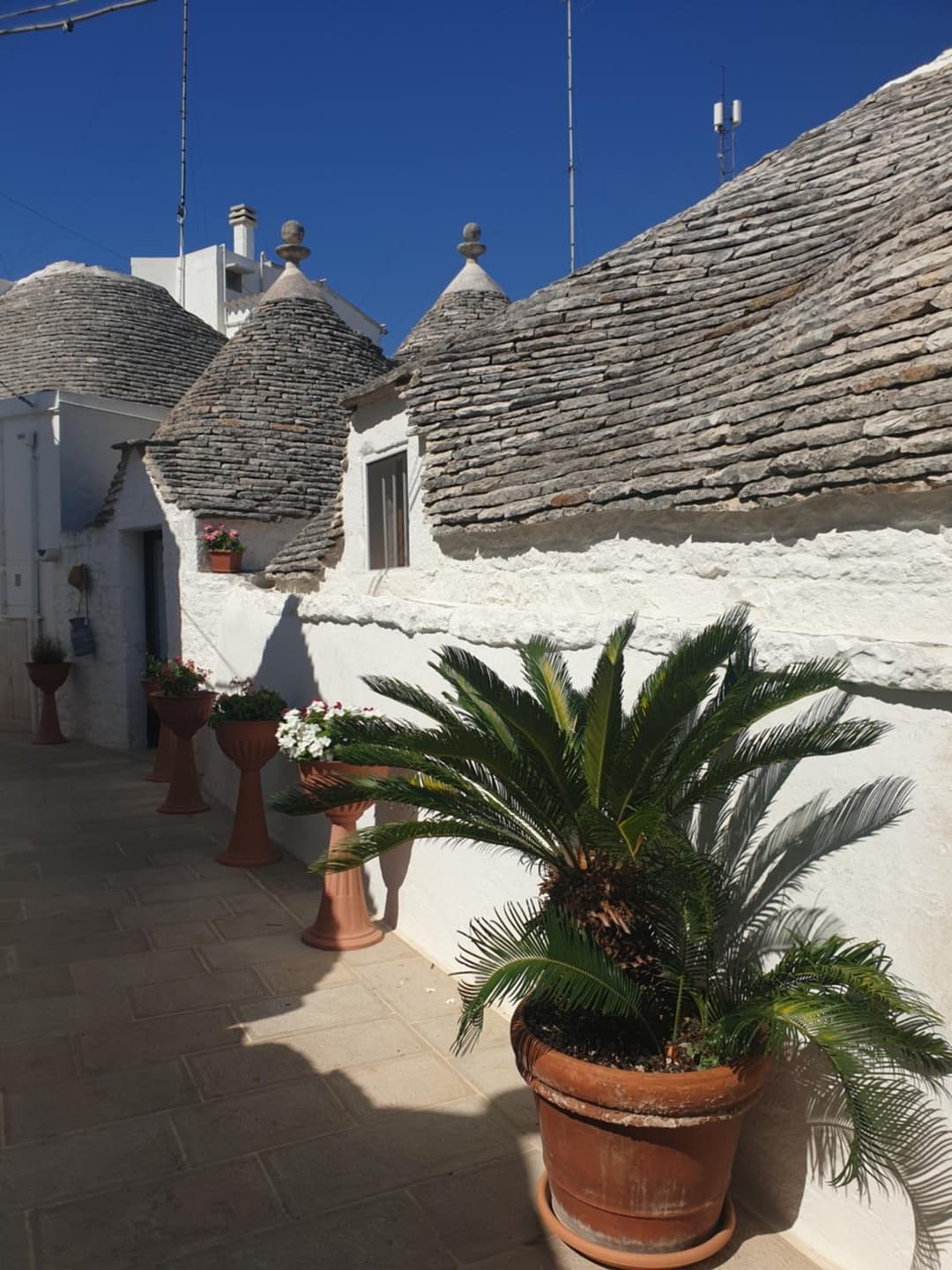Giardino Dei Trulli — photo 1 of 1