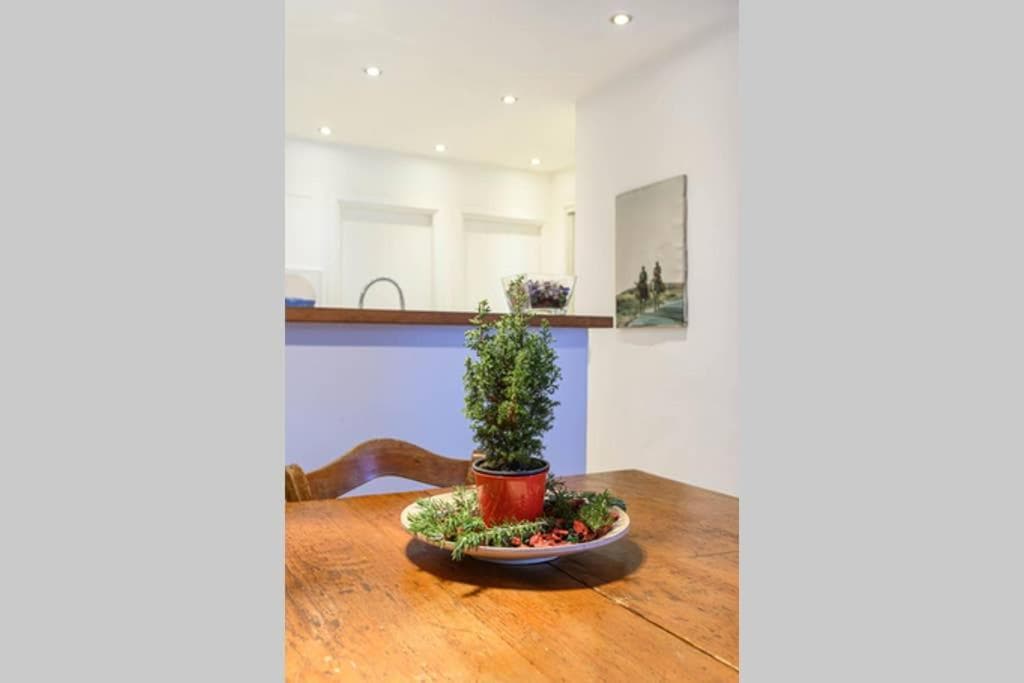 delicious apartment — photo 1 of 1