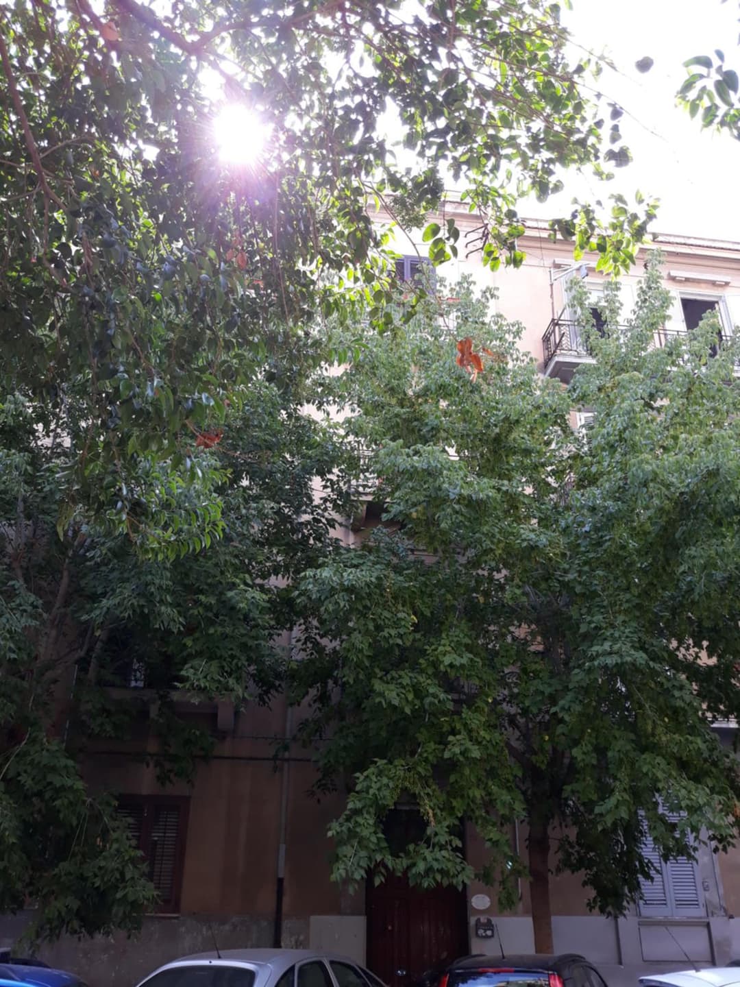 Franco-Home — photo 1 of 45