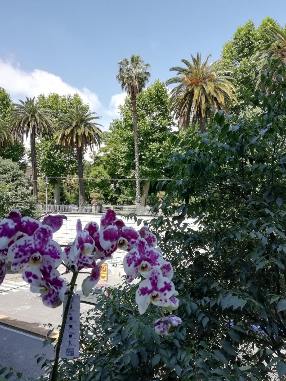 Botanic Charm — photo 1 of 1
