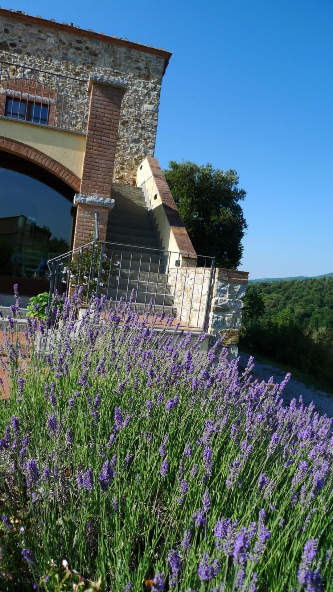 Tenuta Seripa — photo 1 of 1