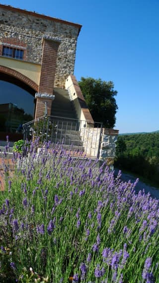 Tenuta Seripa