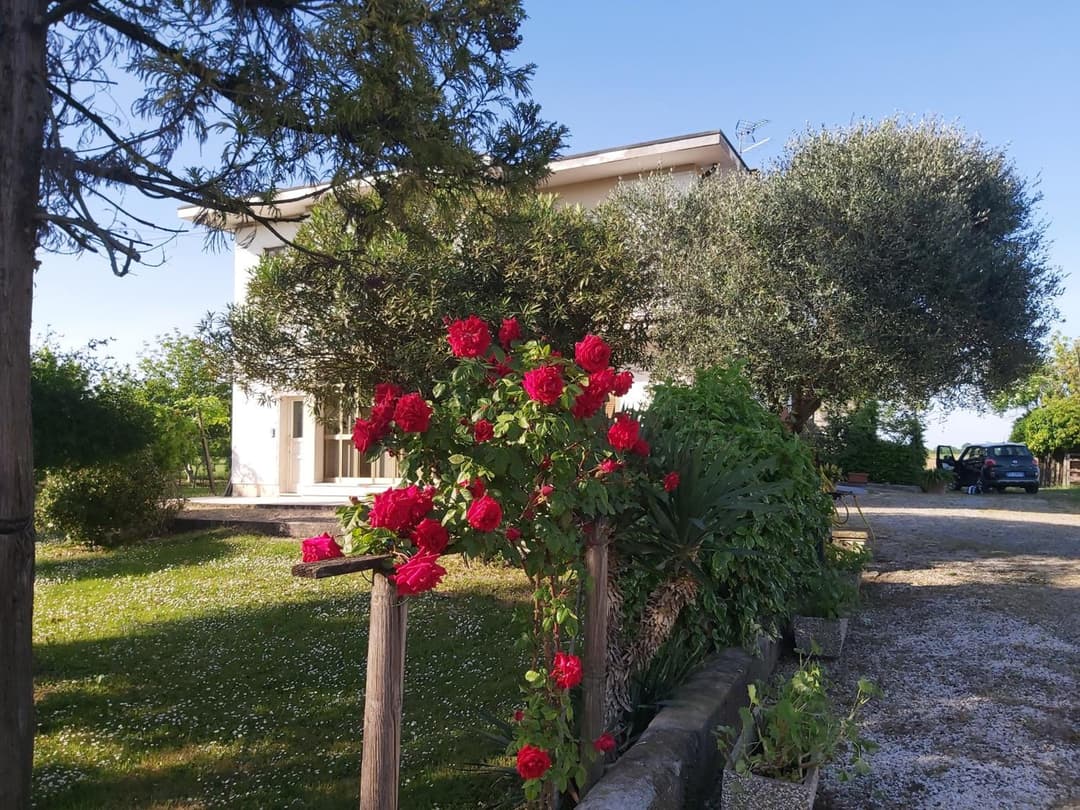 La Celeste a Montegaldella -VI - Italia — photo 1 of 1