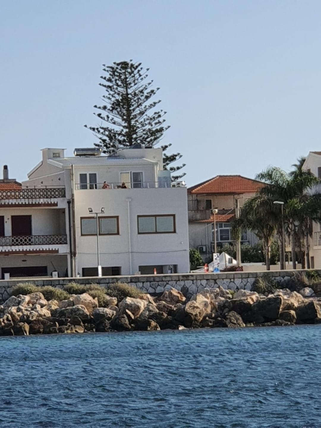 Amareilmare1 — photo 1 of 1