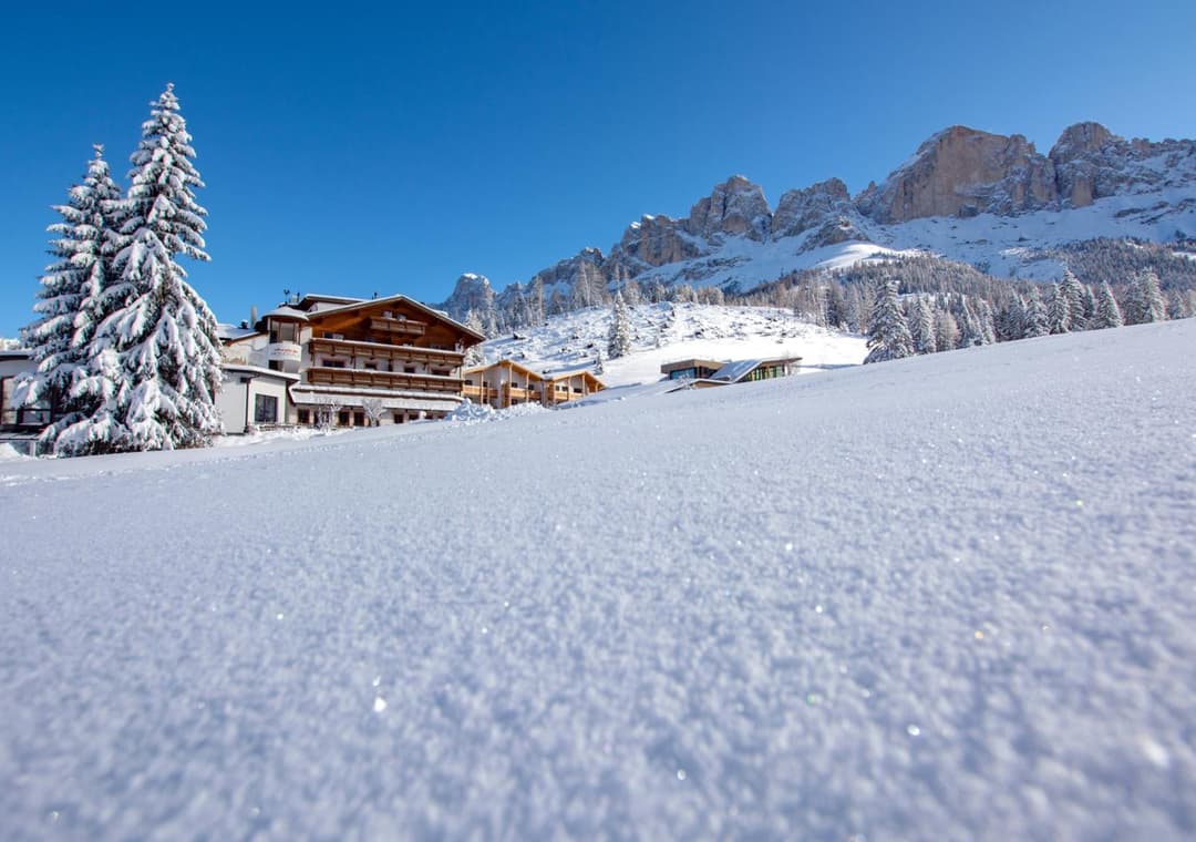 Moseralm Dolomiti Hideaway — photo 1 of 204