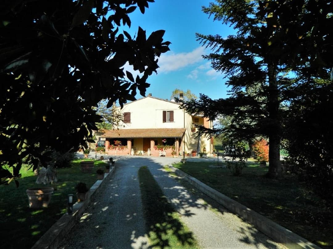 Francigena — photo 1 of 1