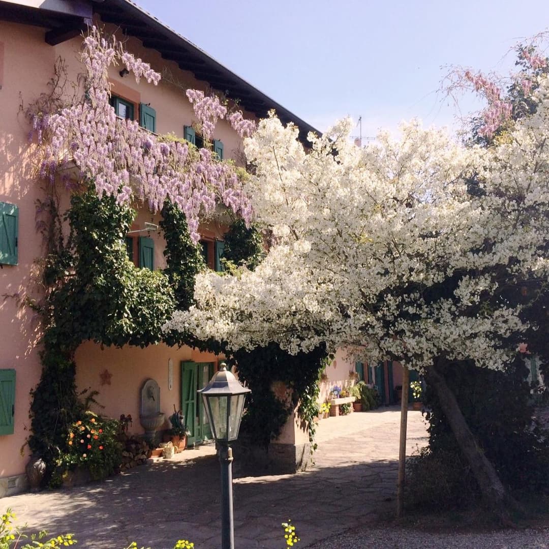 Casa Violetta B&B — photo 1 of 1