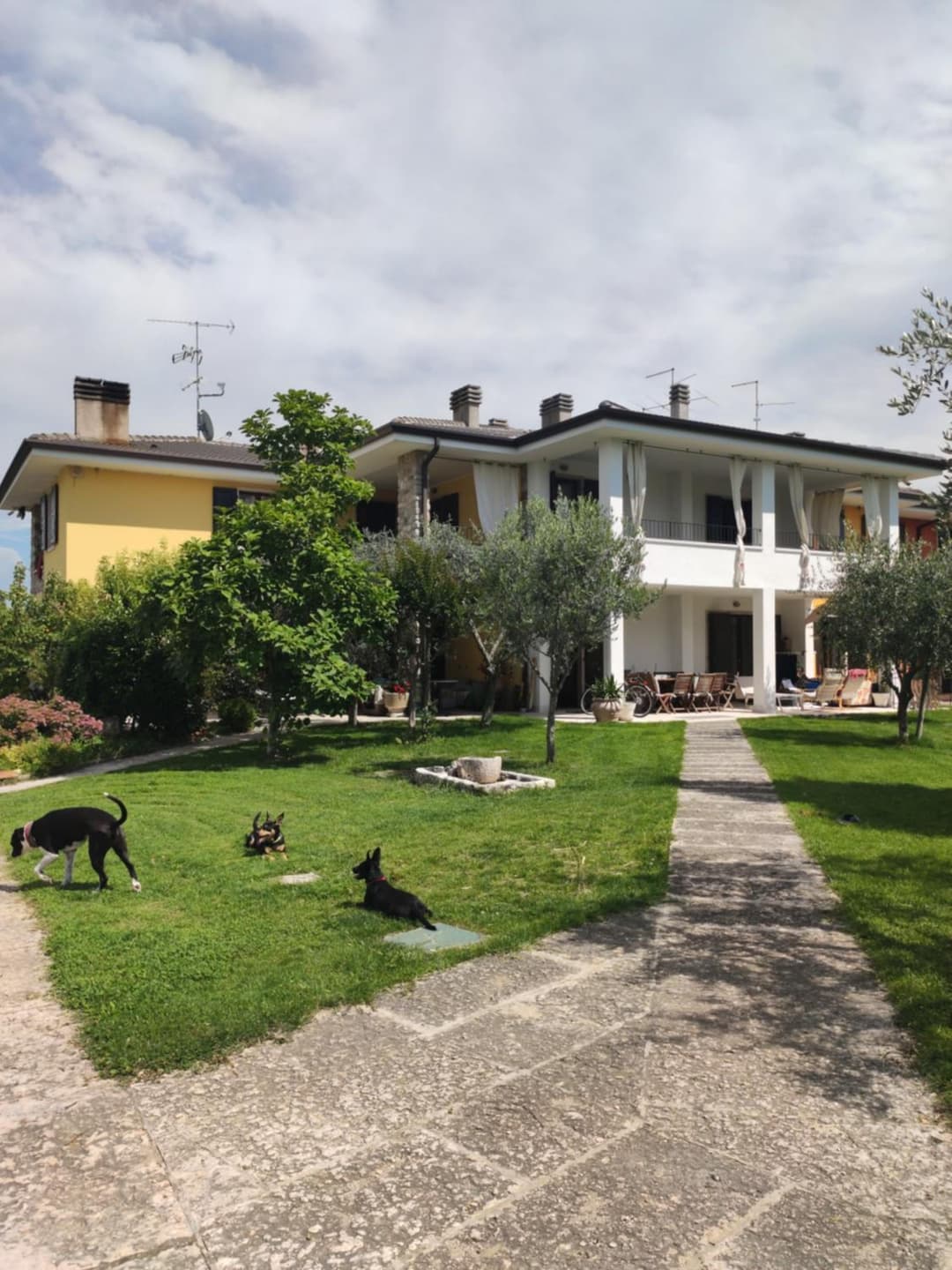 Sara Holiday Rentals — photo 1 of 1