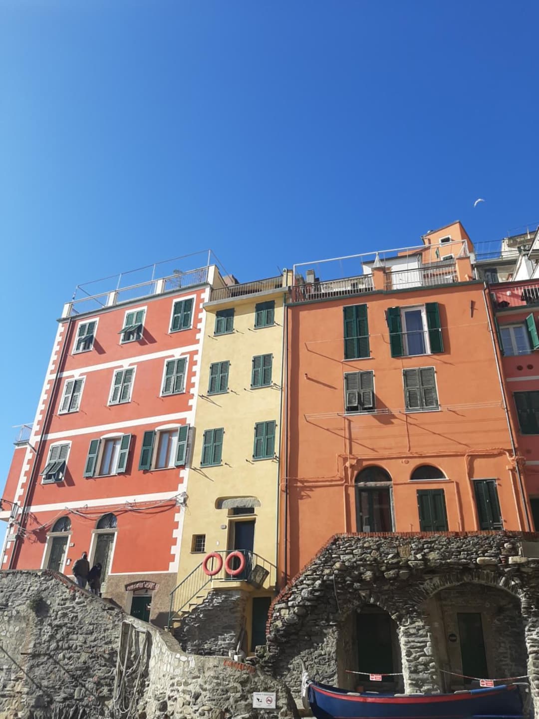 Pepita di Rio — photo 1 of 44