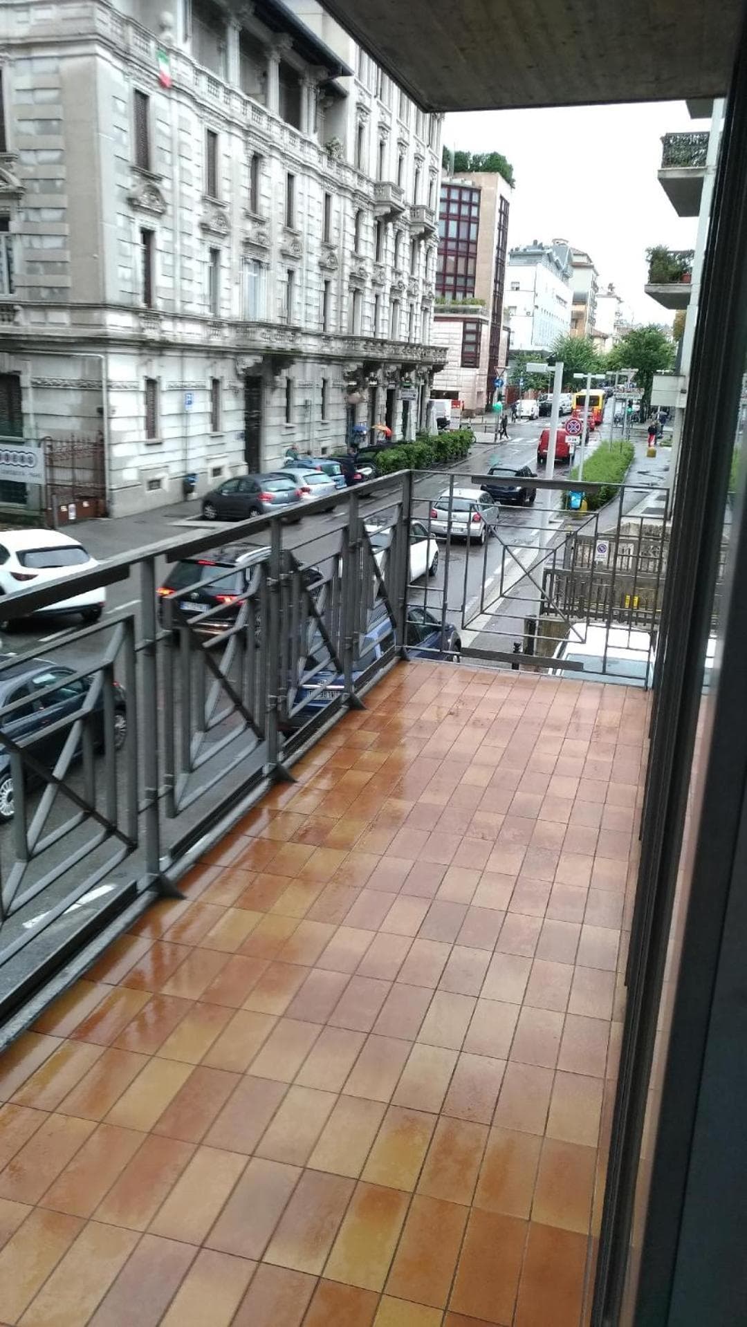 Matisse1 — photo 1 of 1