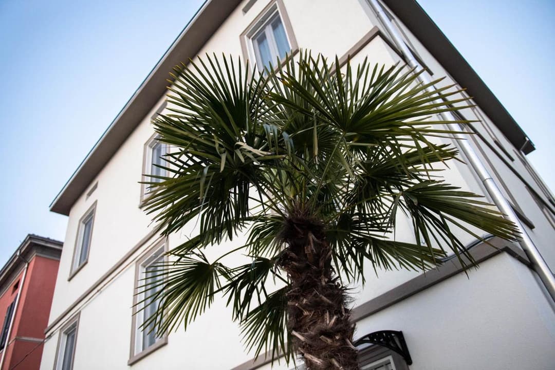 Le PALME — photo 1 of 1