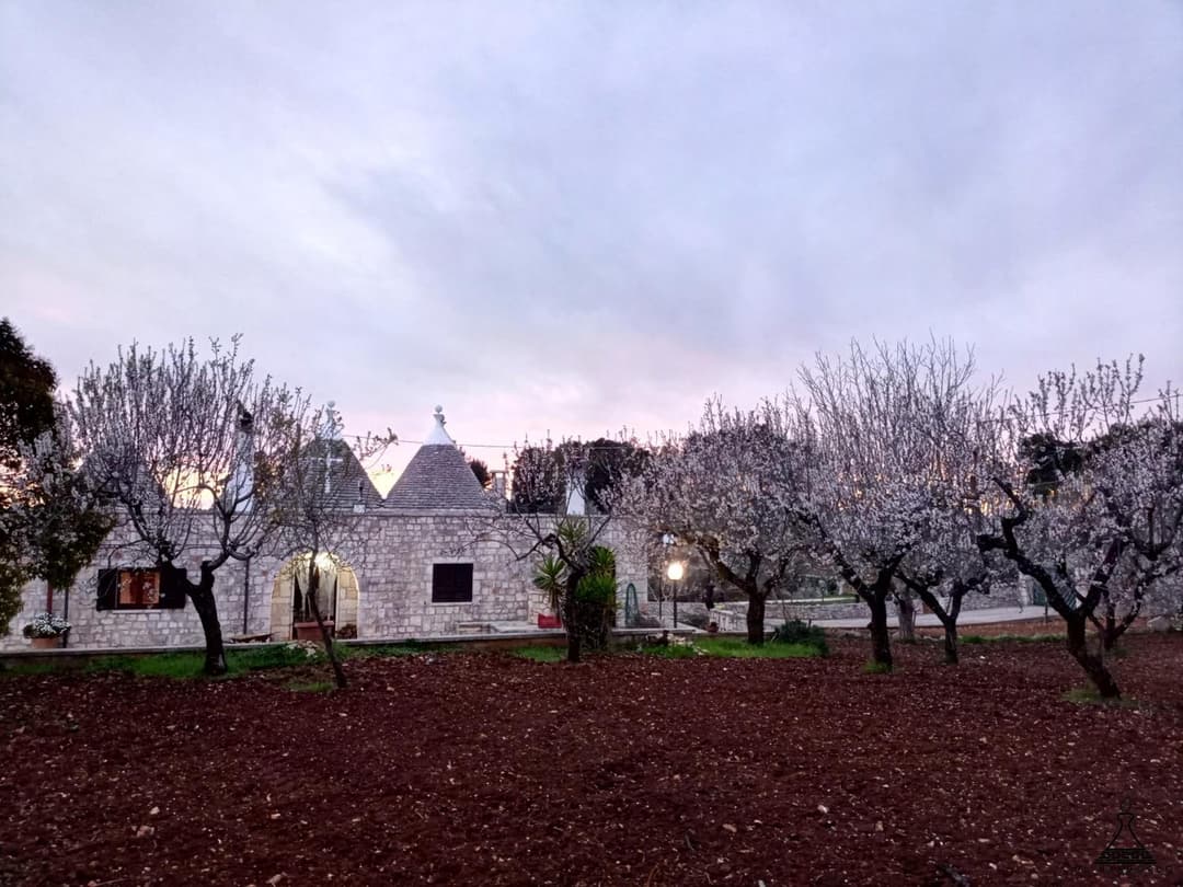 Il Mandorlo — photo 1 of 1