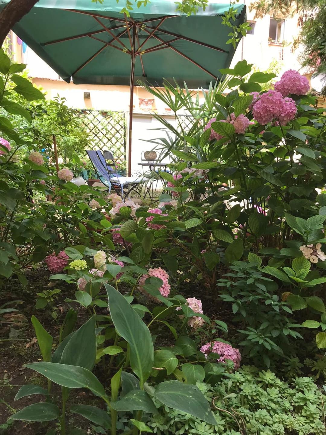 Cynthia's Garden - Apartment with private garden in Santa Croce — photo 1 of 1