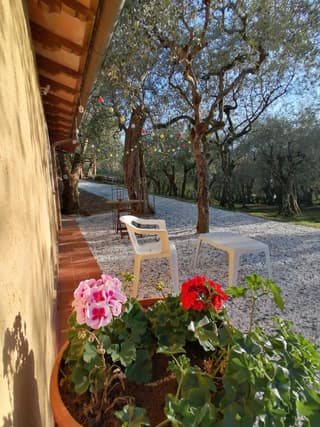 Casina Versilia