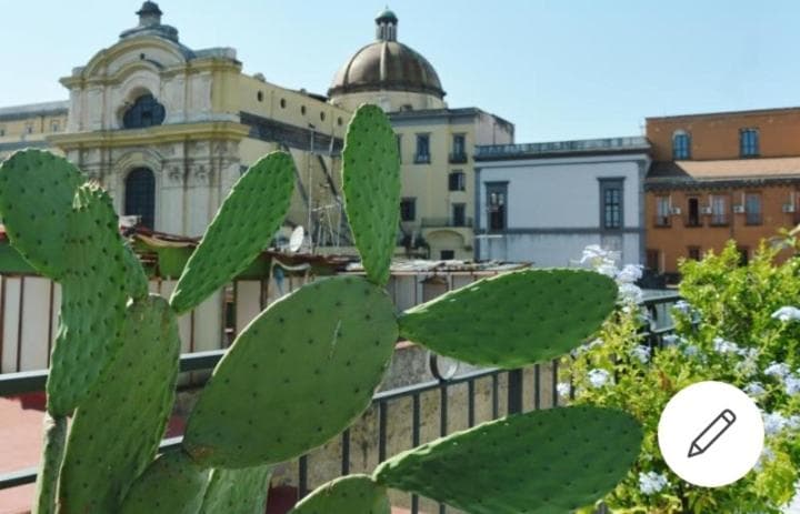 Mimì Terrace — photo 1 of 1