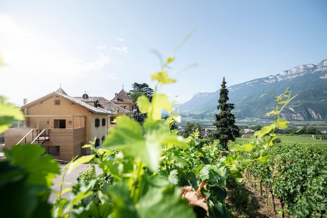 Weingut Kornell - Schafferhaus Cosmas und Zeder — photo 1 of 1
