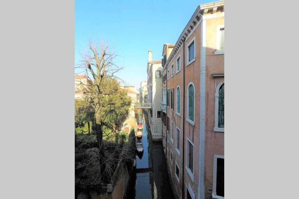 Favola a Venezia — photo 1 of 1