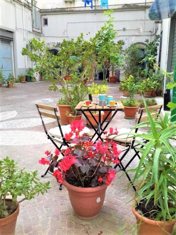 Casa Vacanze Donna Manu- Centralissima Tra Stazione Centrale ed Aeroporto — photo 1 of 1