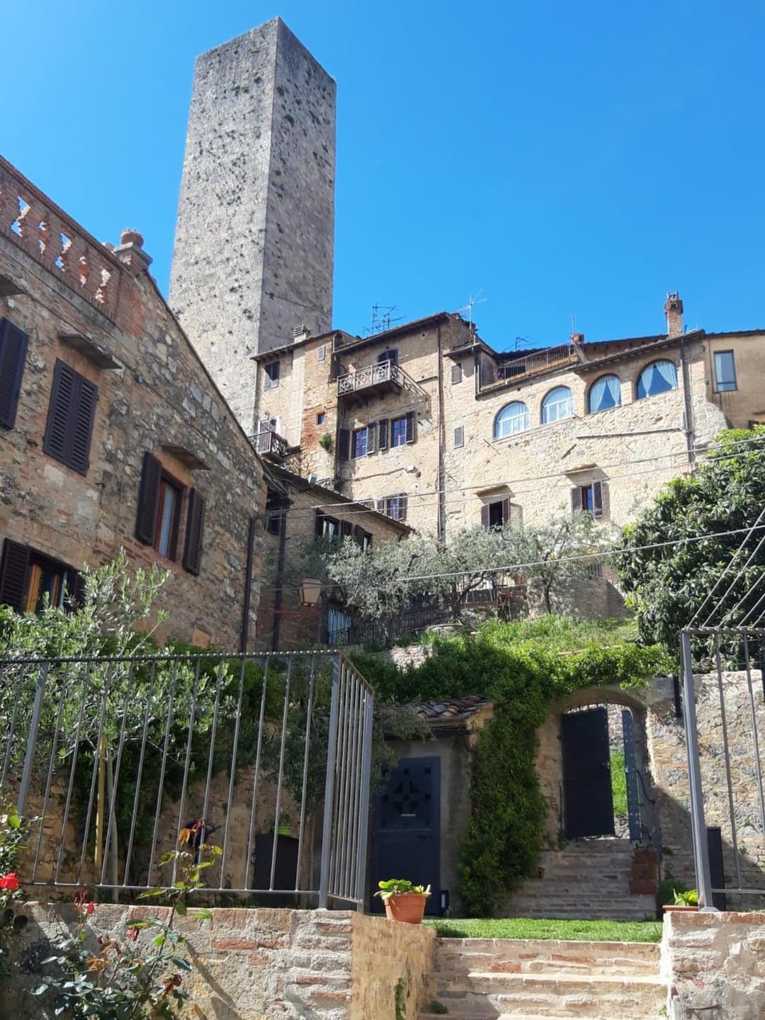 The Tower's Garden — photo 1 of 1