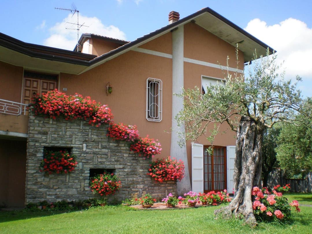Nel Giardino Degli Ulivi — photo 1 of 1