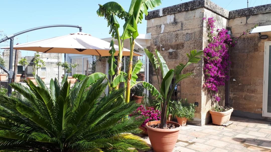 Le suites di Gio' — photo 1 of 1