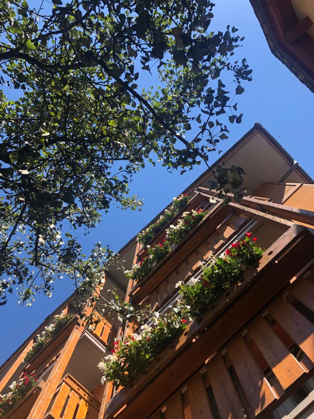 Hotel Moizi — photo 1 of 36