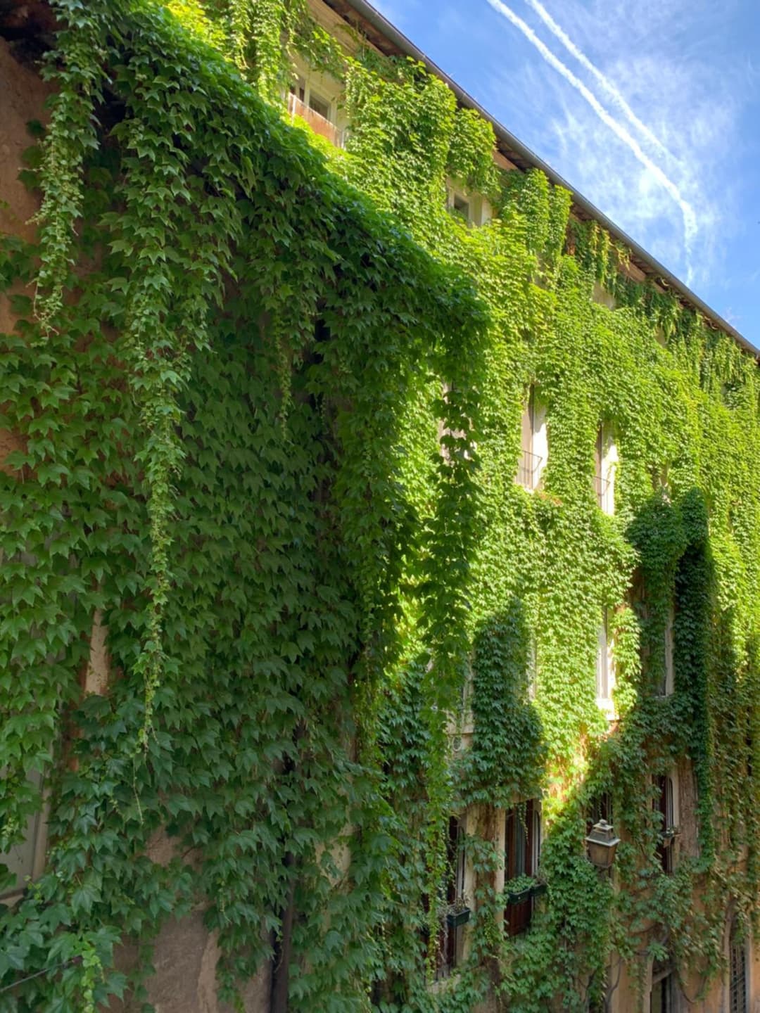 Navona Relais - Center of Rome — photo 1 of 1