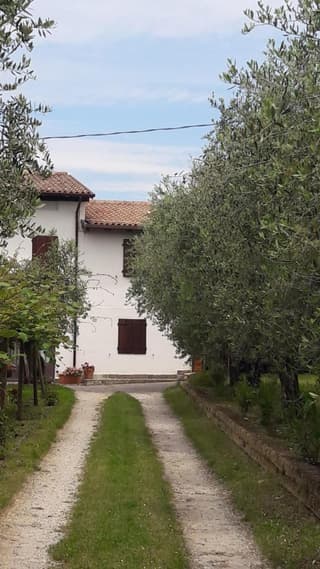 Casa tra gli Olivi