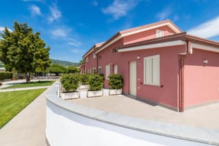 Dipladenia Garden Country Resort