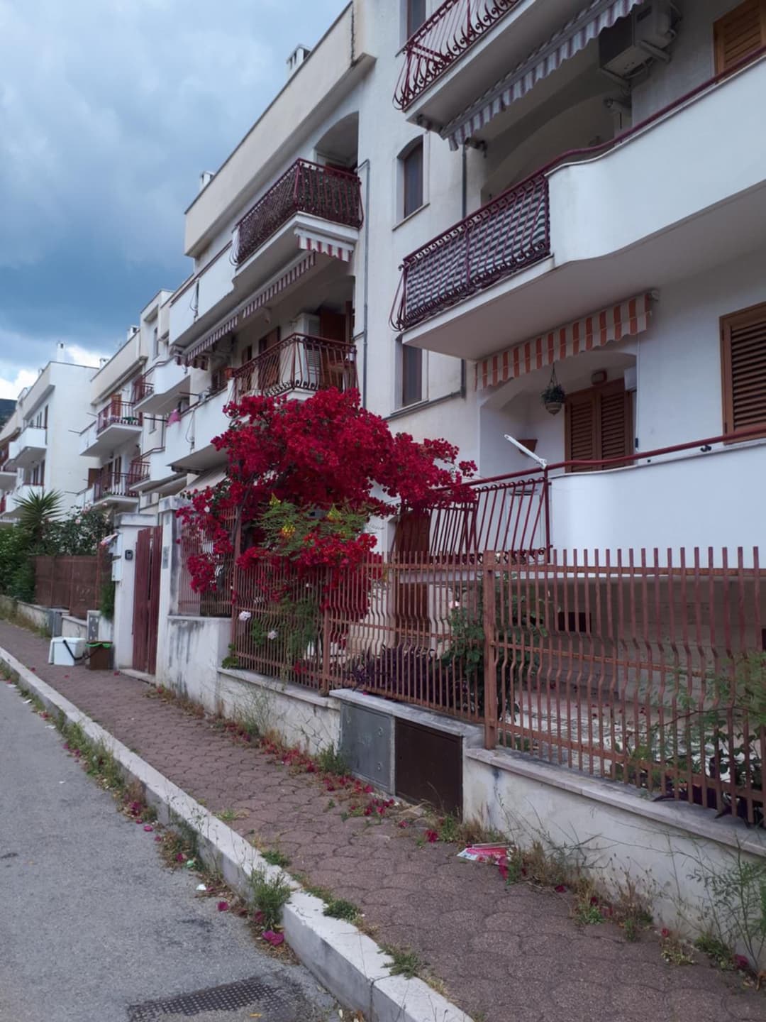La Vie en Rose Mattinata — photo 1 of 1