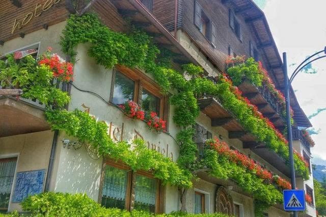 Hotel Daniela — photo 1 of 1