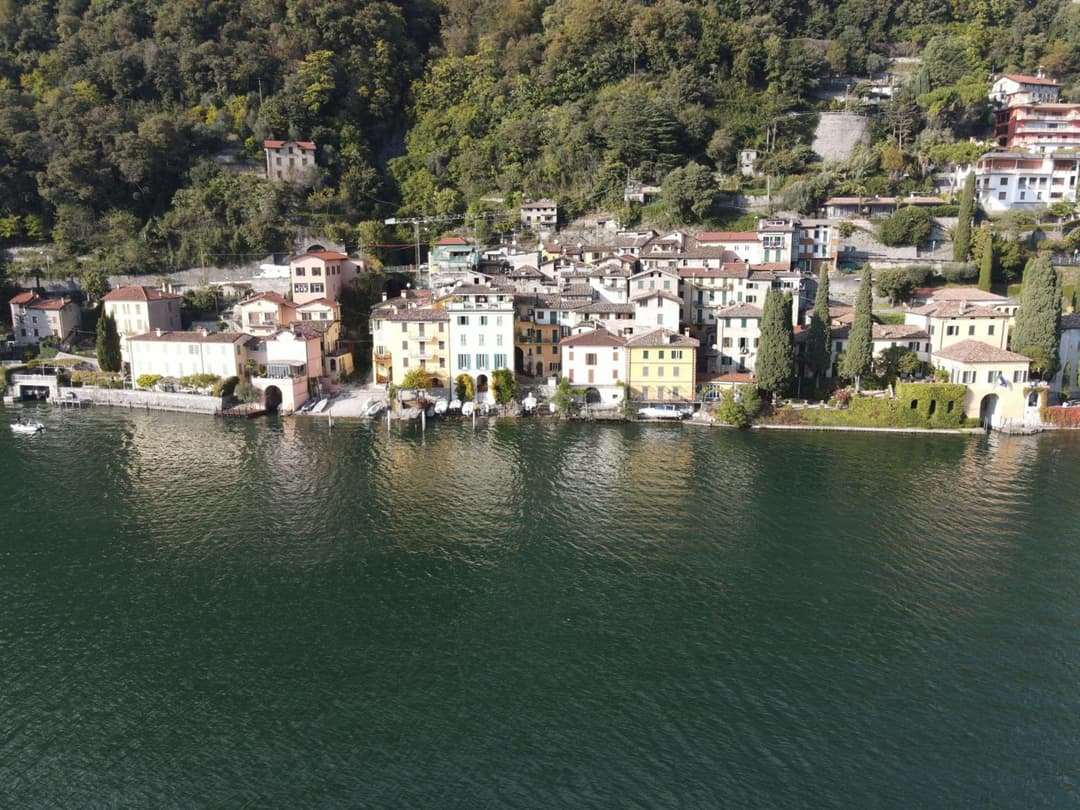 Lugano Lake, nido del cigno — photo 1 of 1