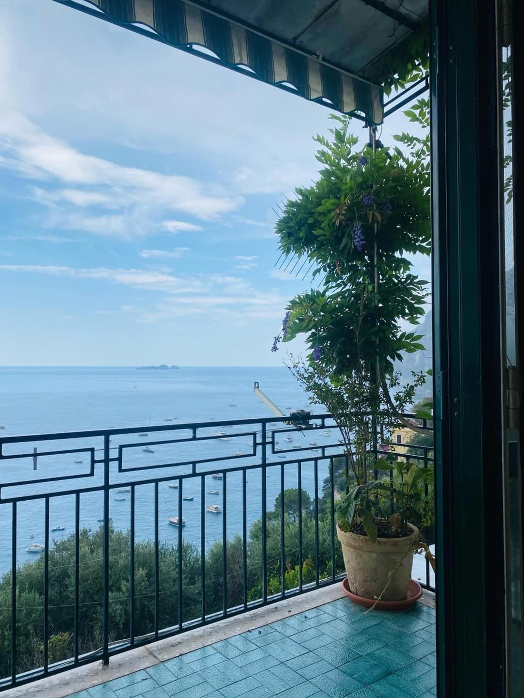 Positano's Flats — photo 1 of 1