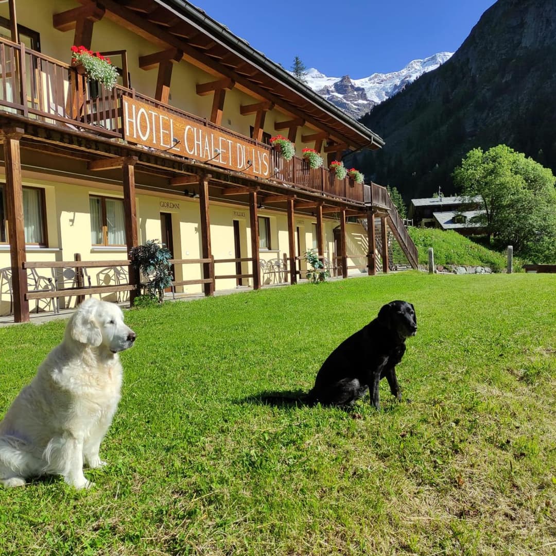 Chalet du Lys Hotel & SPA — photo 1 of 93