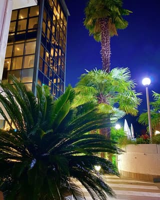 Hotel La Perla