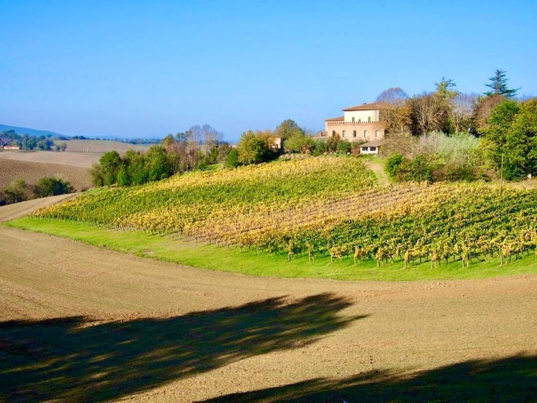 Agriturismo Poggiarellino - Montalcino — photo 1 of 1