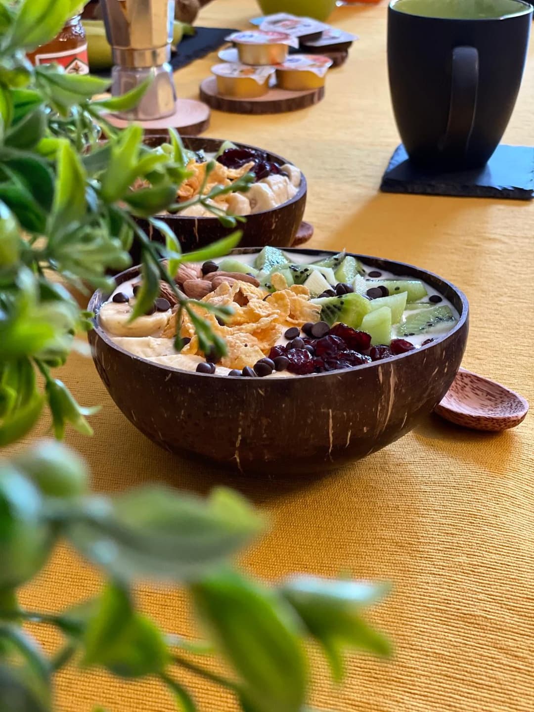 EverGreen House — photo 1 of 1