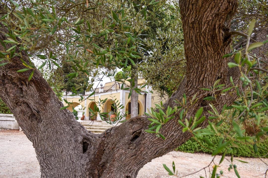 Villa Luciana — photo 1 of 1