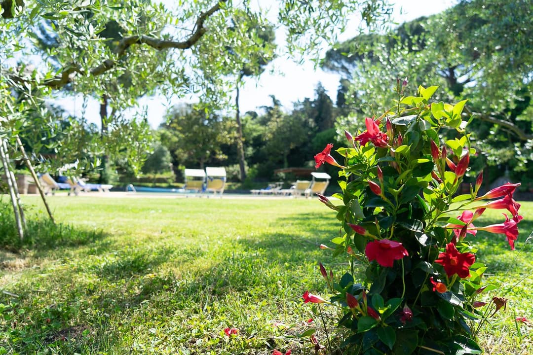 Frascati Country House — photo 1 of 1
