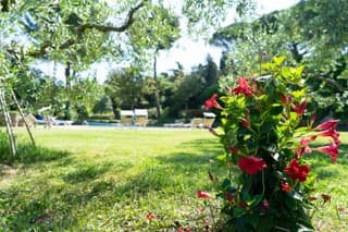 Frascati Country House