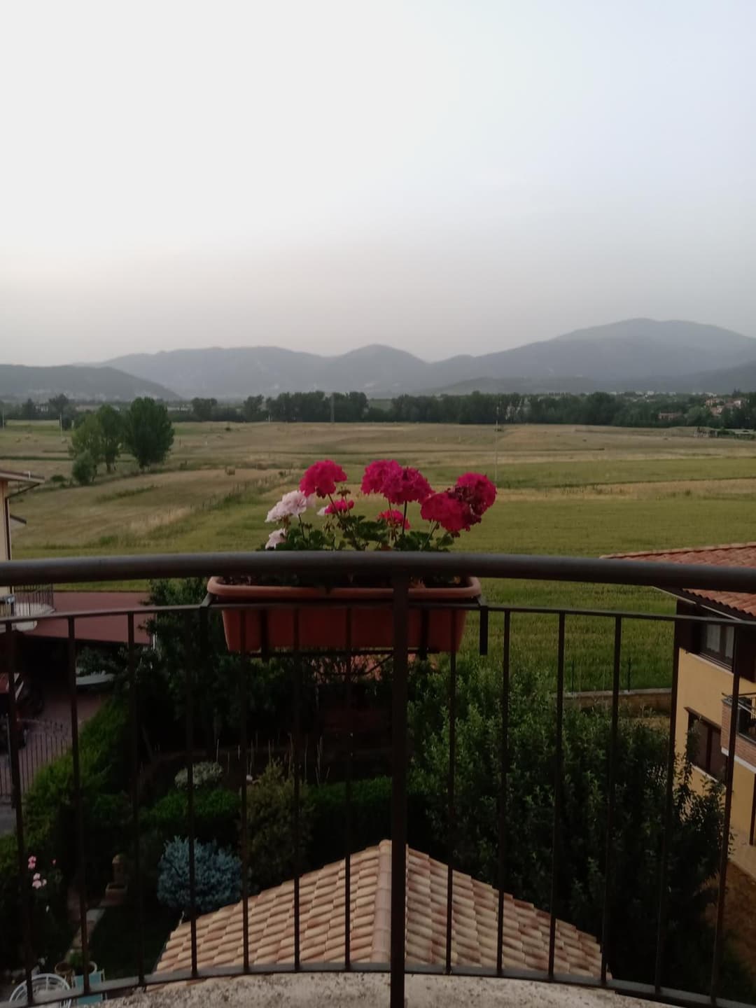 A L'Aquila per un sogno — photo 1 of 1