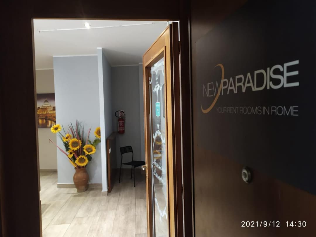 NEW PARADISE — photo 1 of 1