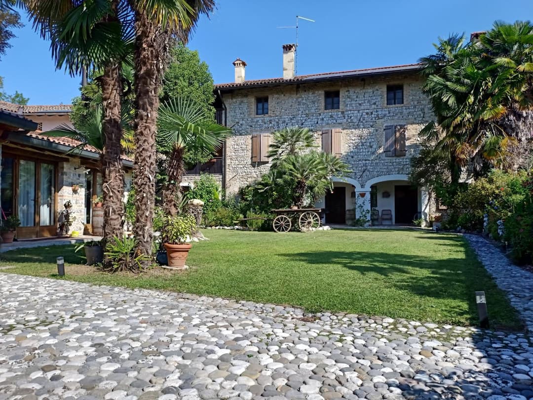 Rovere dalla riva — photo 1 of 80